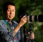 最近中文字幕免费mv视频-探索网络视频新视界，免费中文字幕MV的魅力与边界